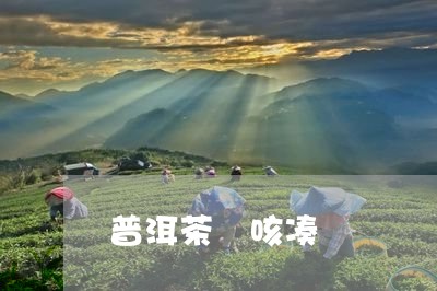 普洱茶 咳凑/2023042654048